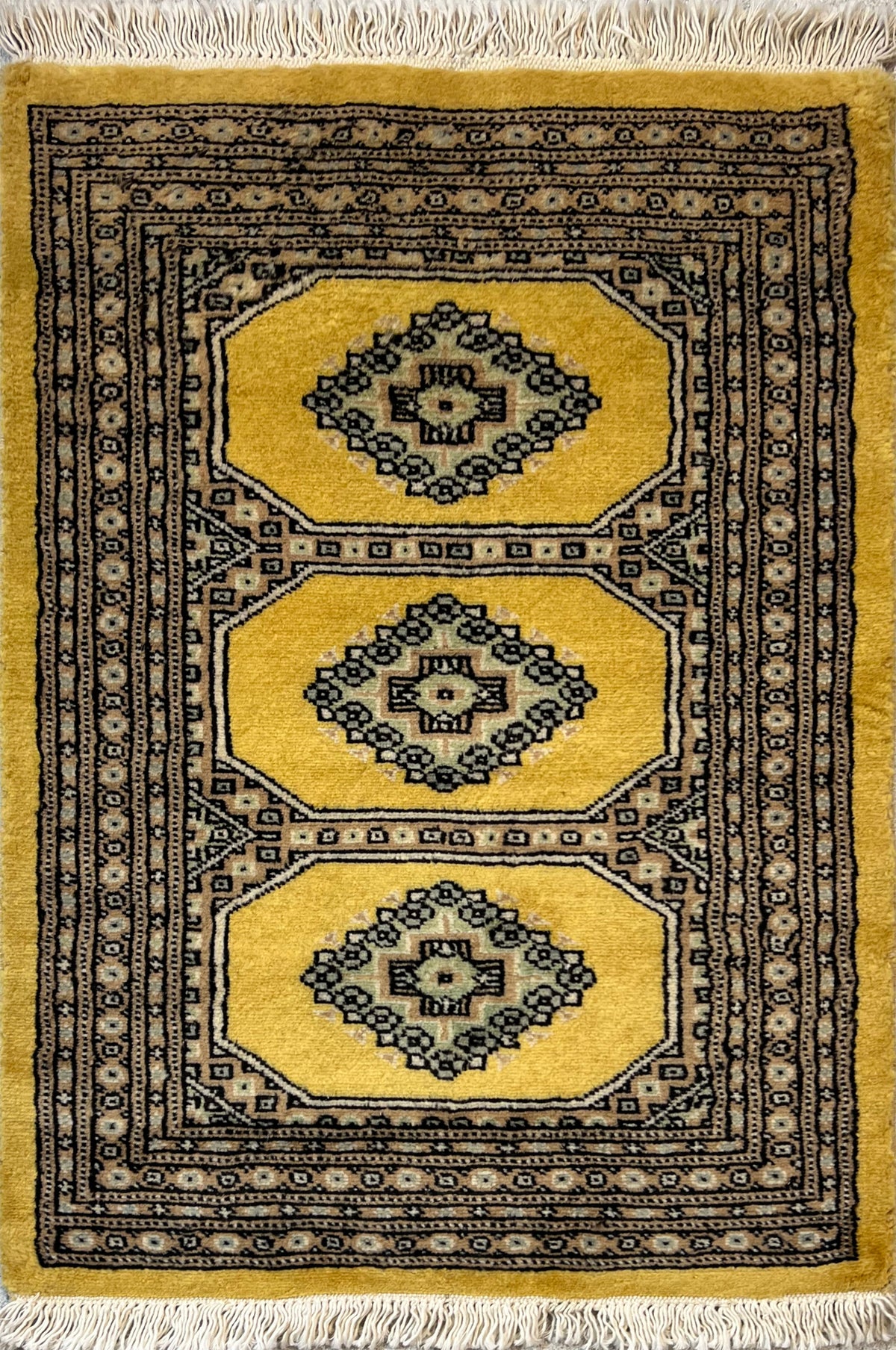 Boukhara Mauri