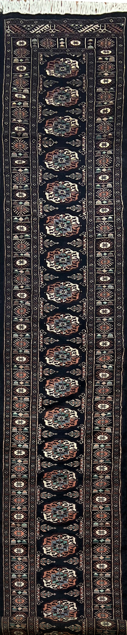 Boukhara Mauri