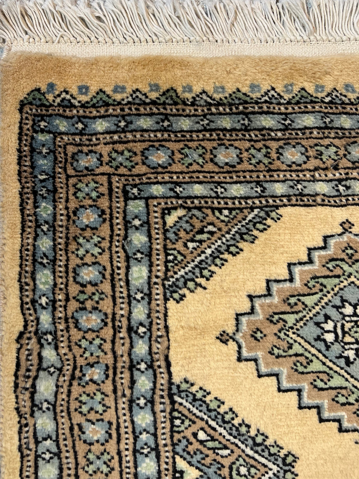 Boukhara Mauri