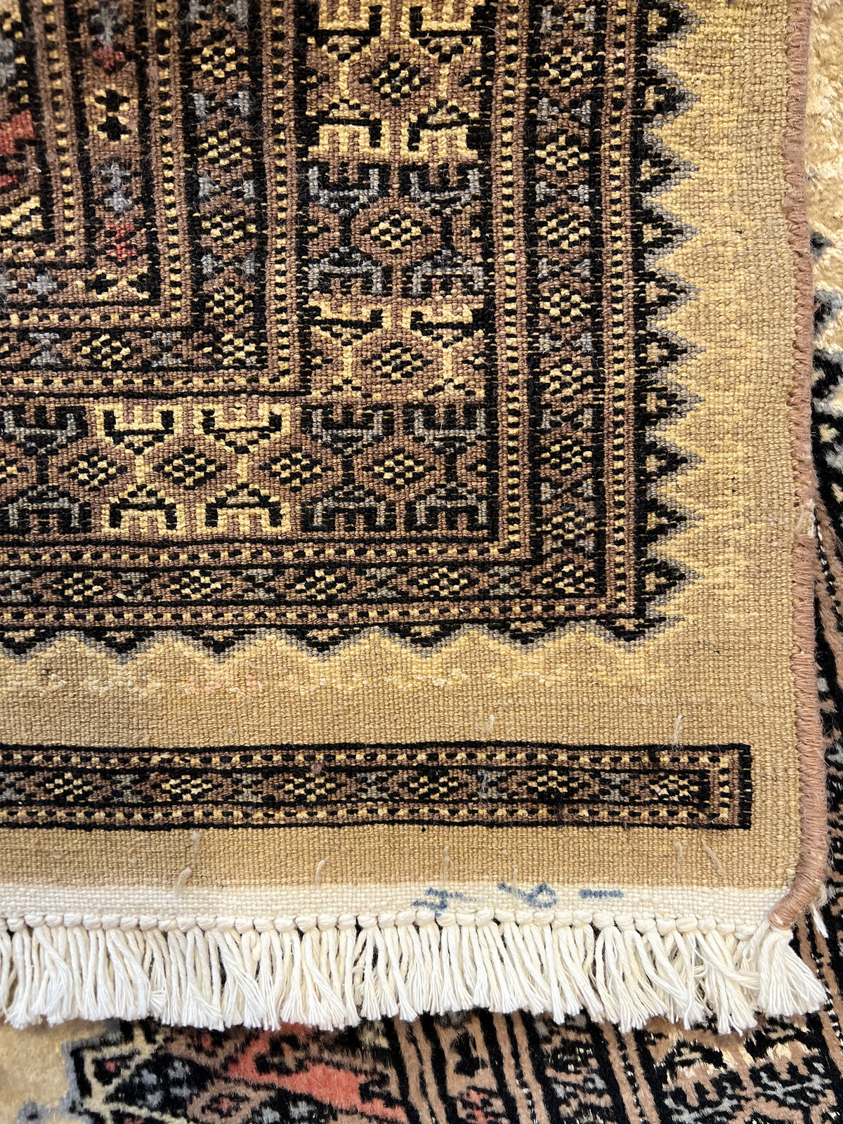 Boukhara Yomoud