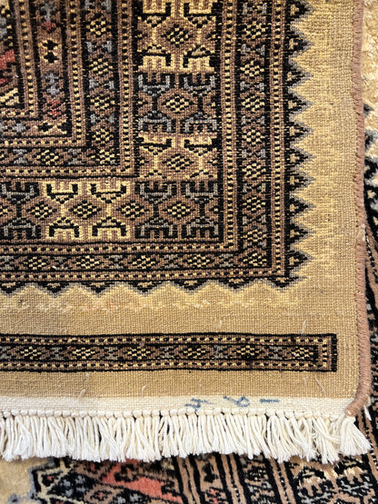 Boukhara Yomoud
