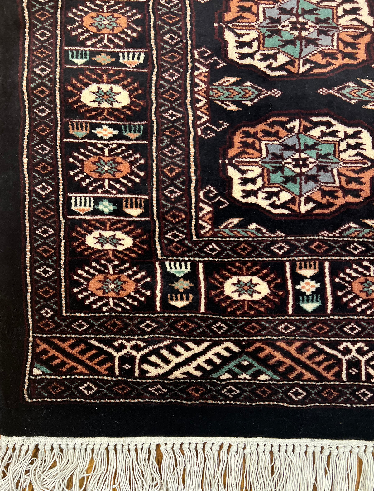 Boukhara Mauri