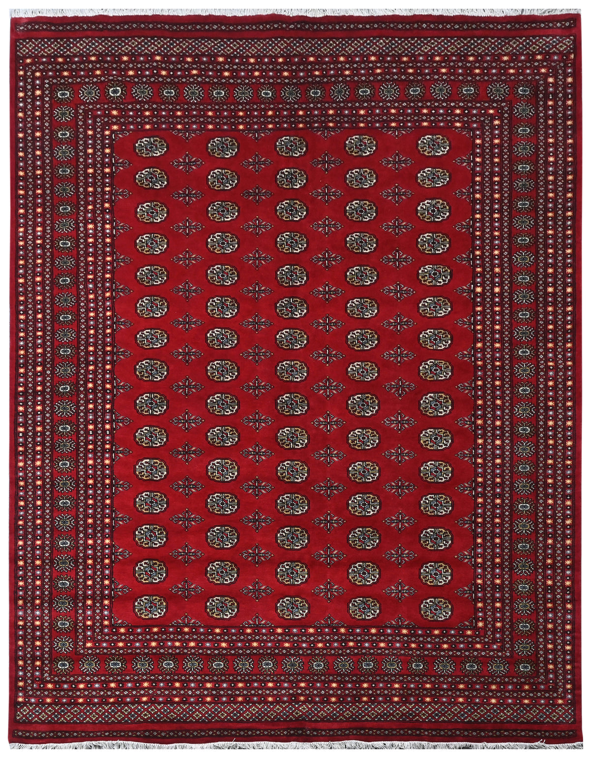 Bokhara Mauri