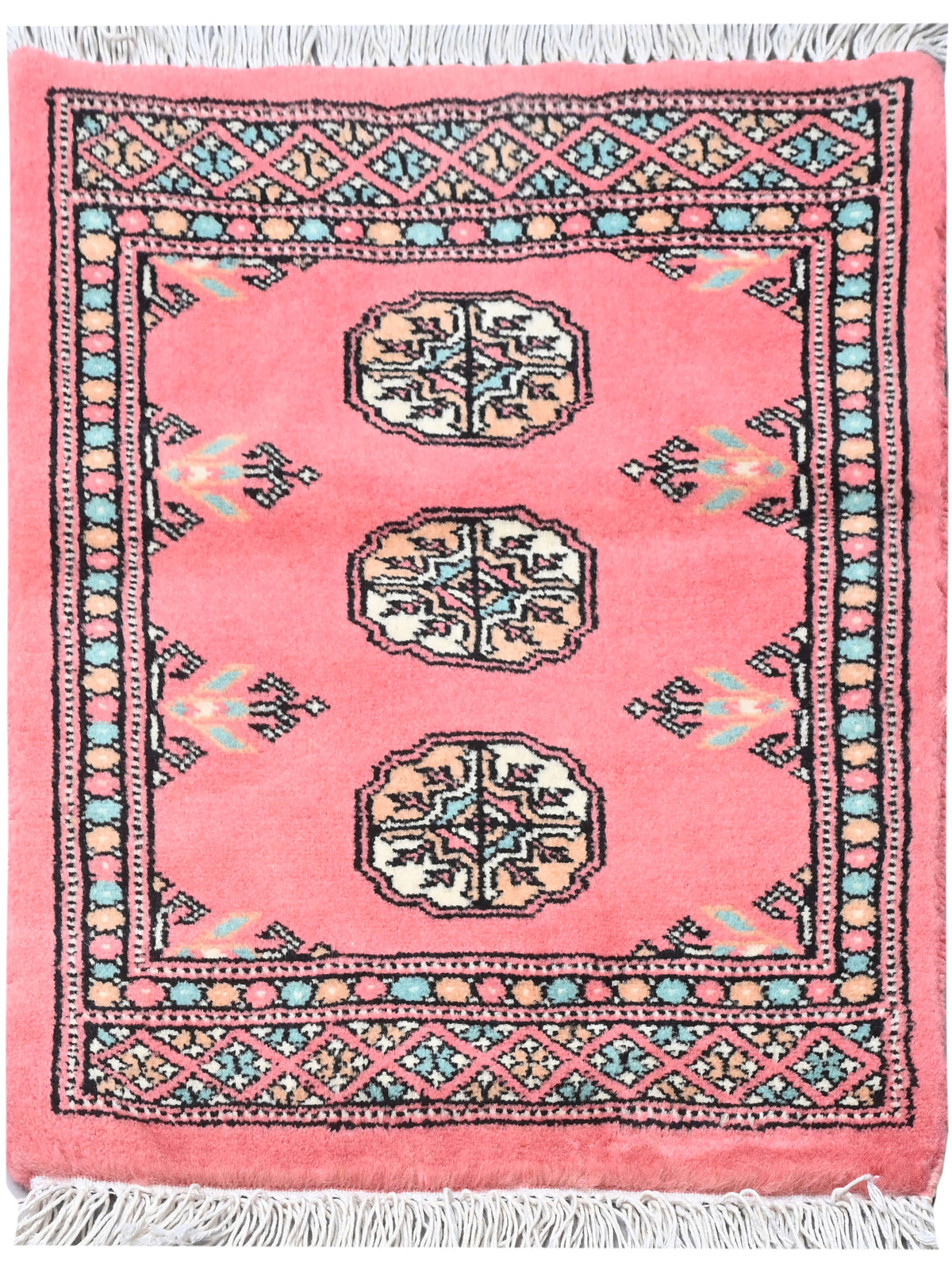 Bokhara Mauri