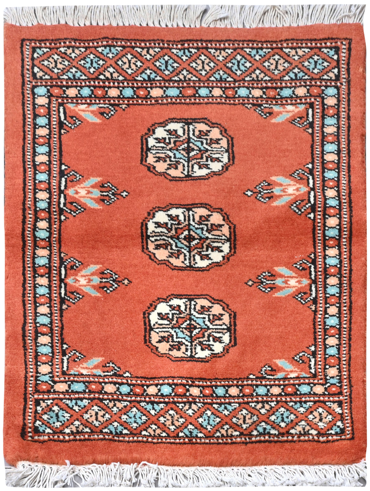 Boukhara Mauri
