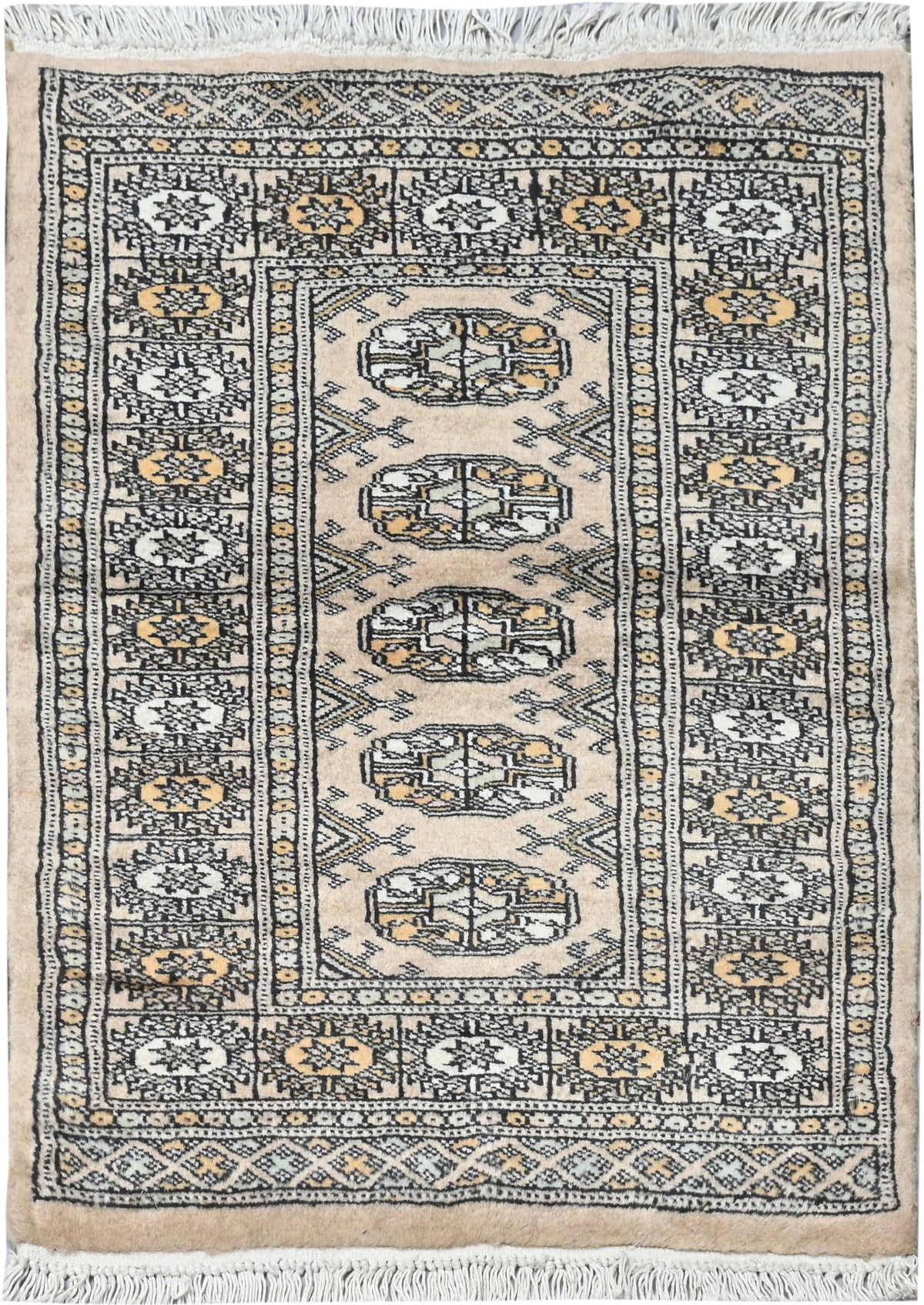 Bokhara Mauri