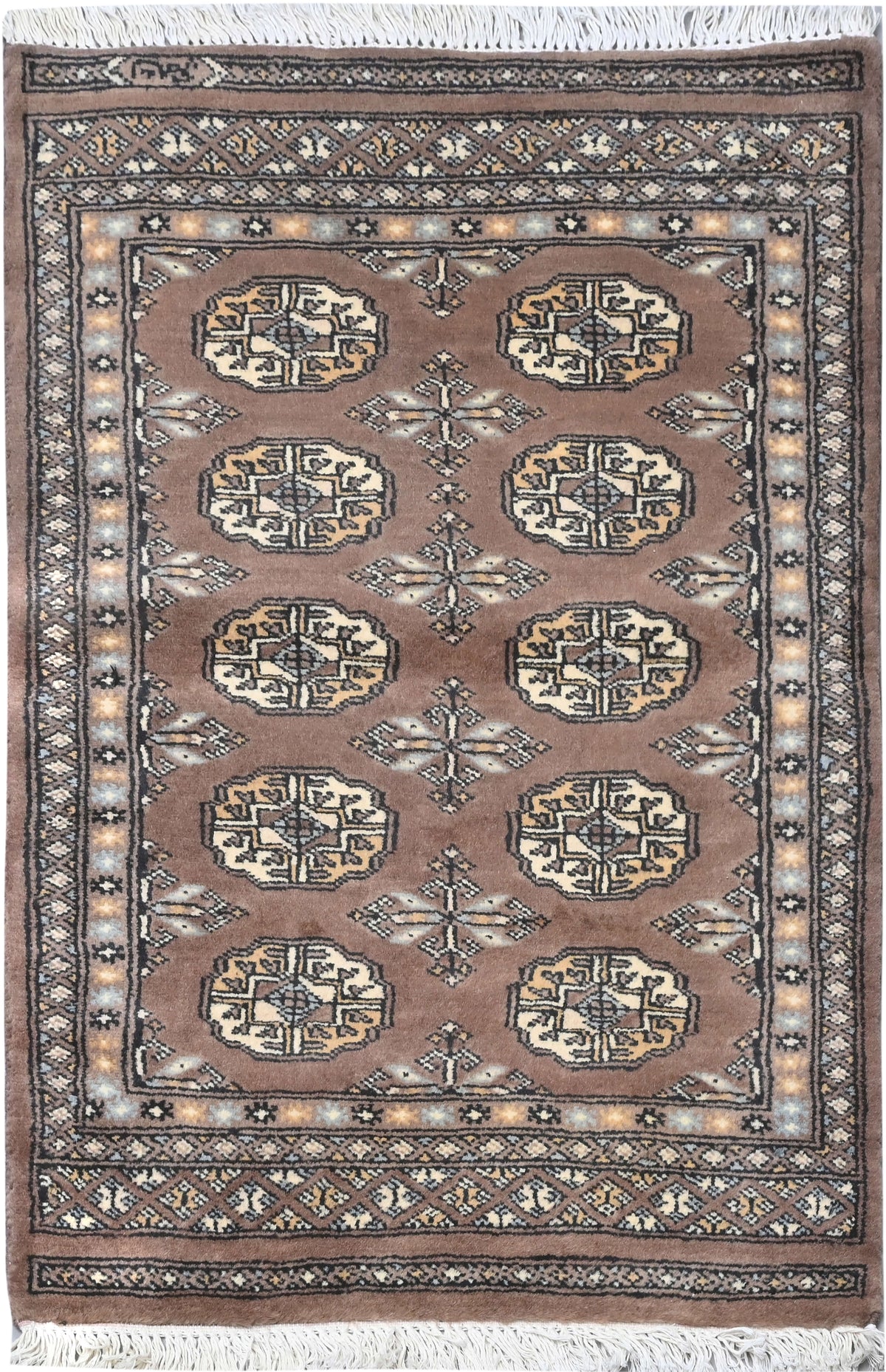 Bokhara Mauri