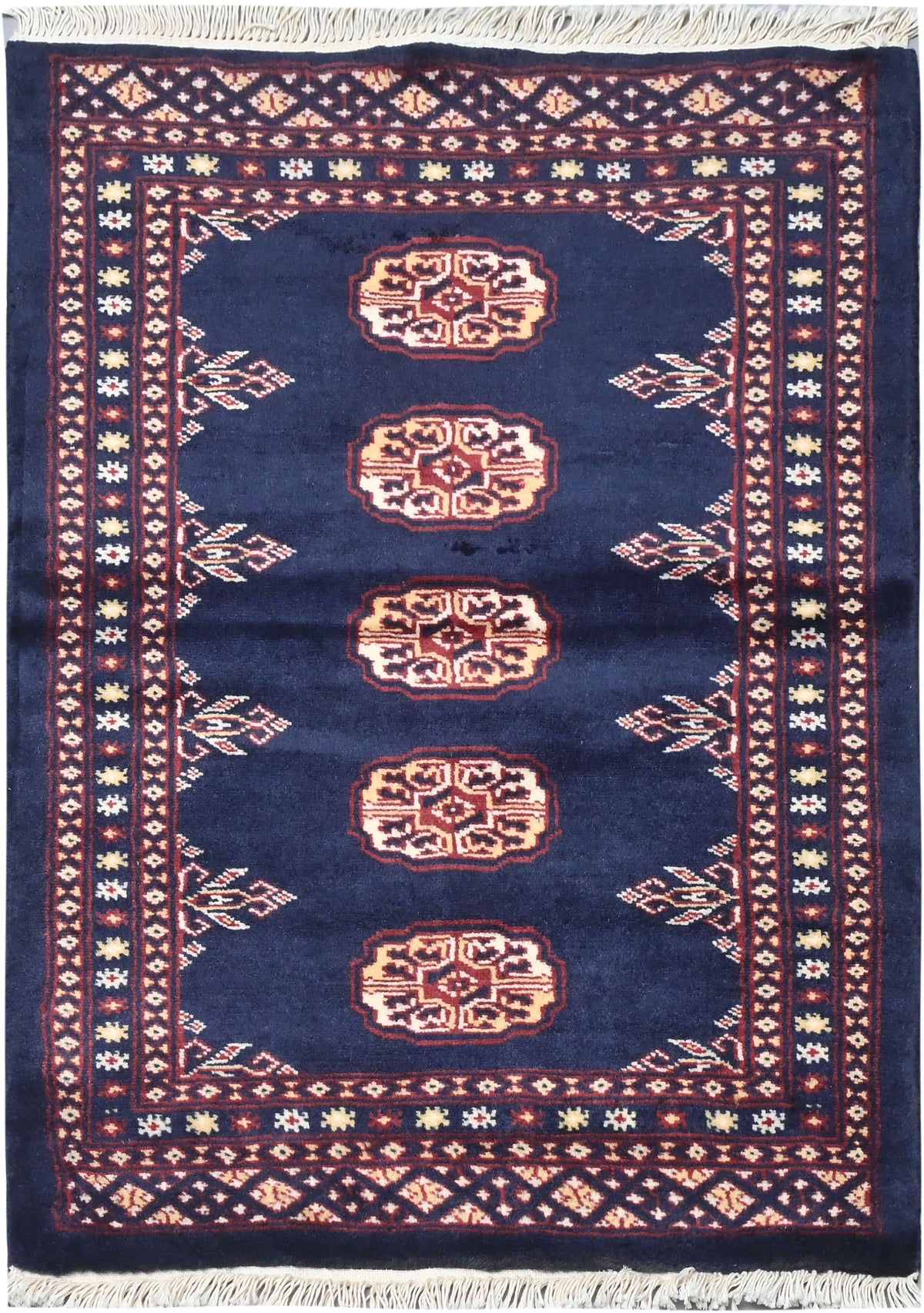 Bokhara Mauri