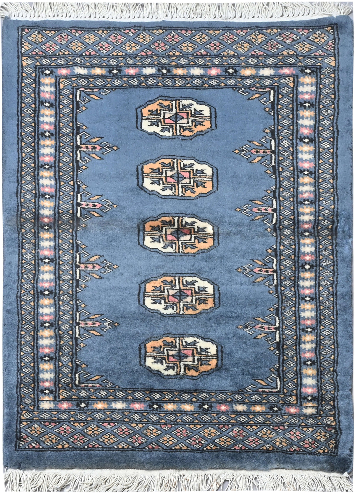 Bokhara Mauri