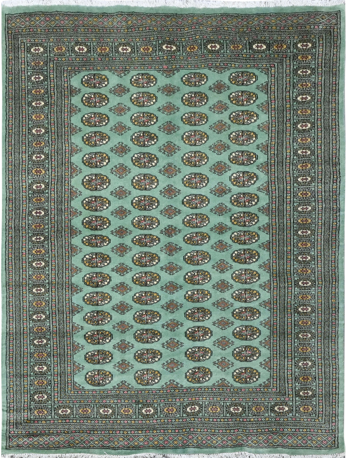 Bokhara Mauri