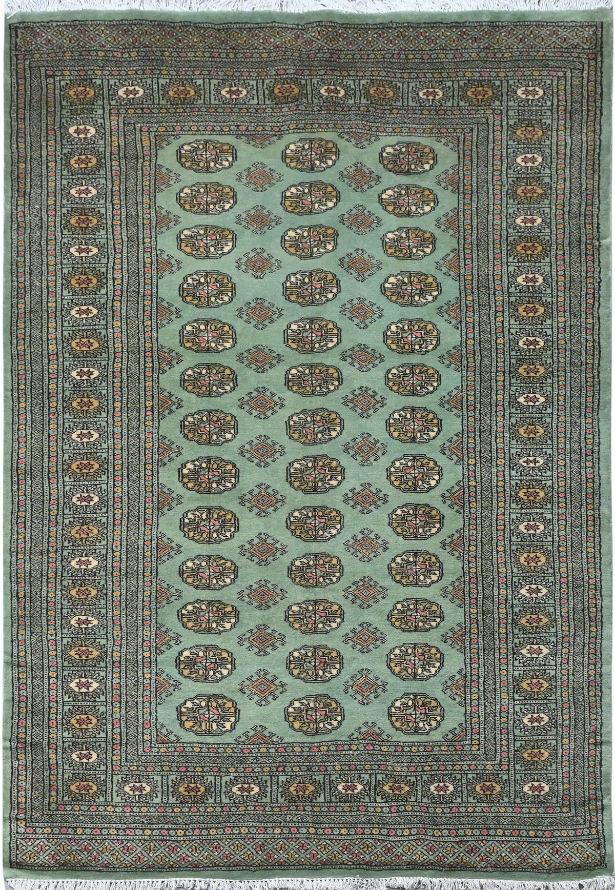 Bokhara Mauri