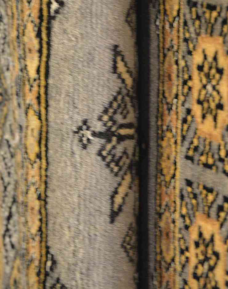 Papillon de Boukhara