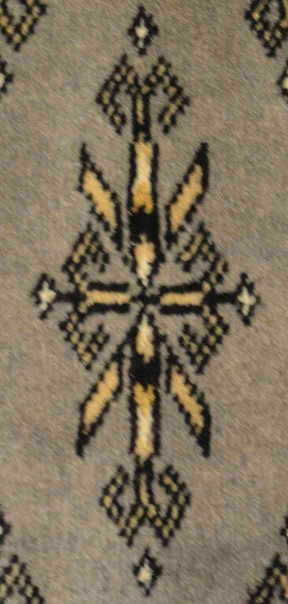 Papillon de Boukhara