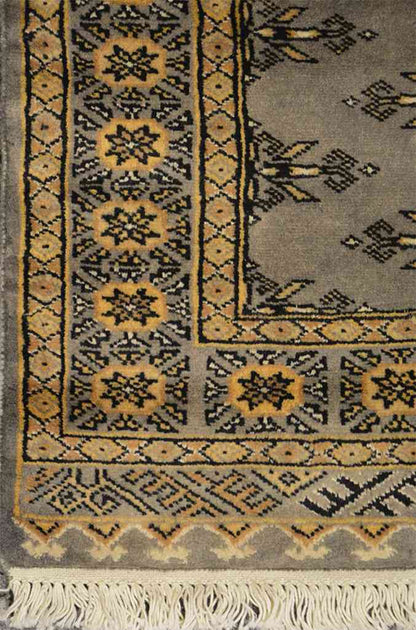 Papillon de Boukhara