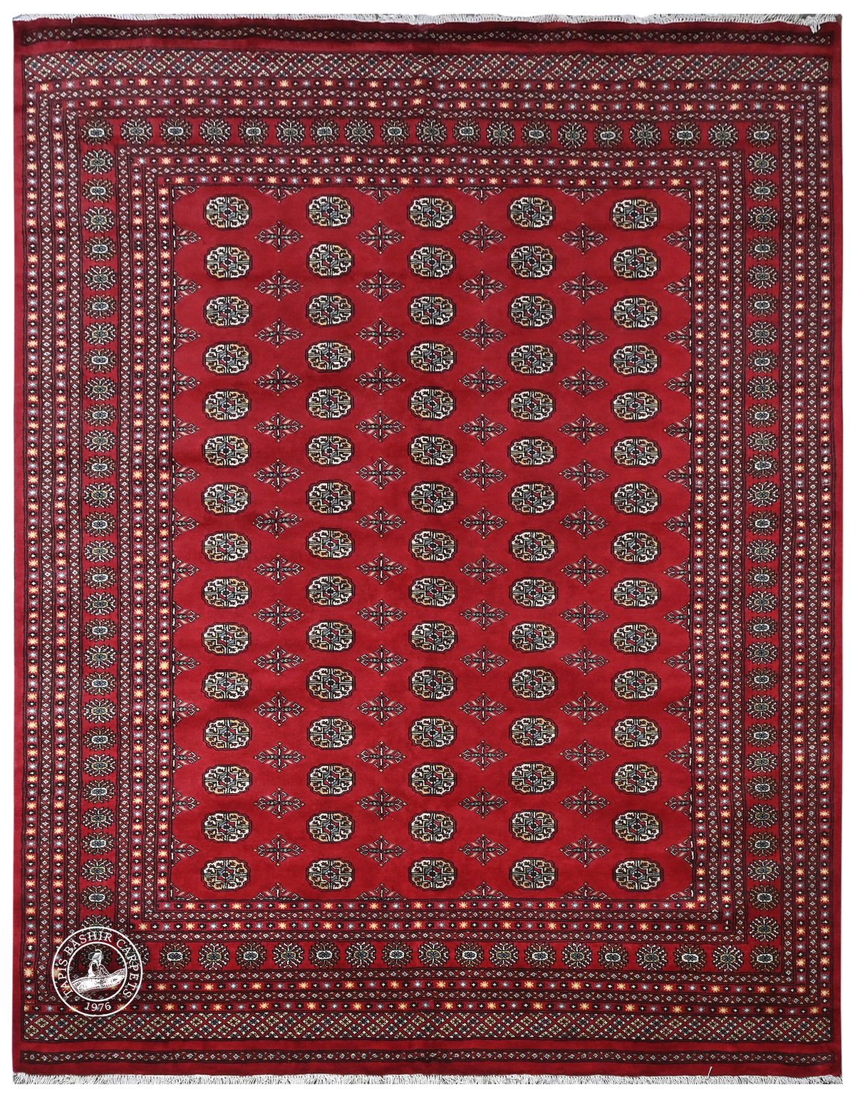 Bokhara Mauri