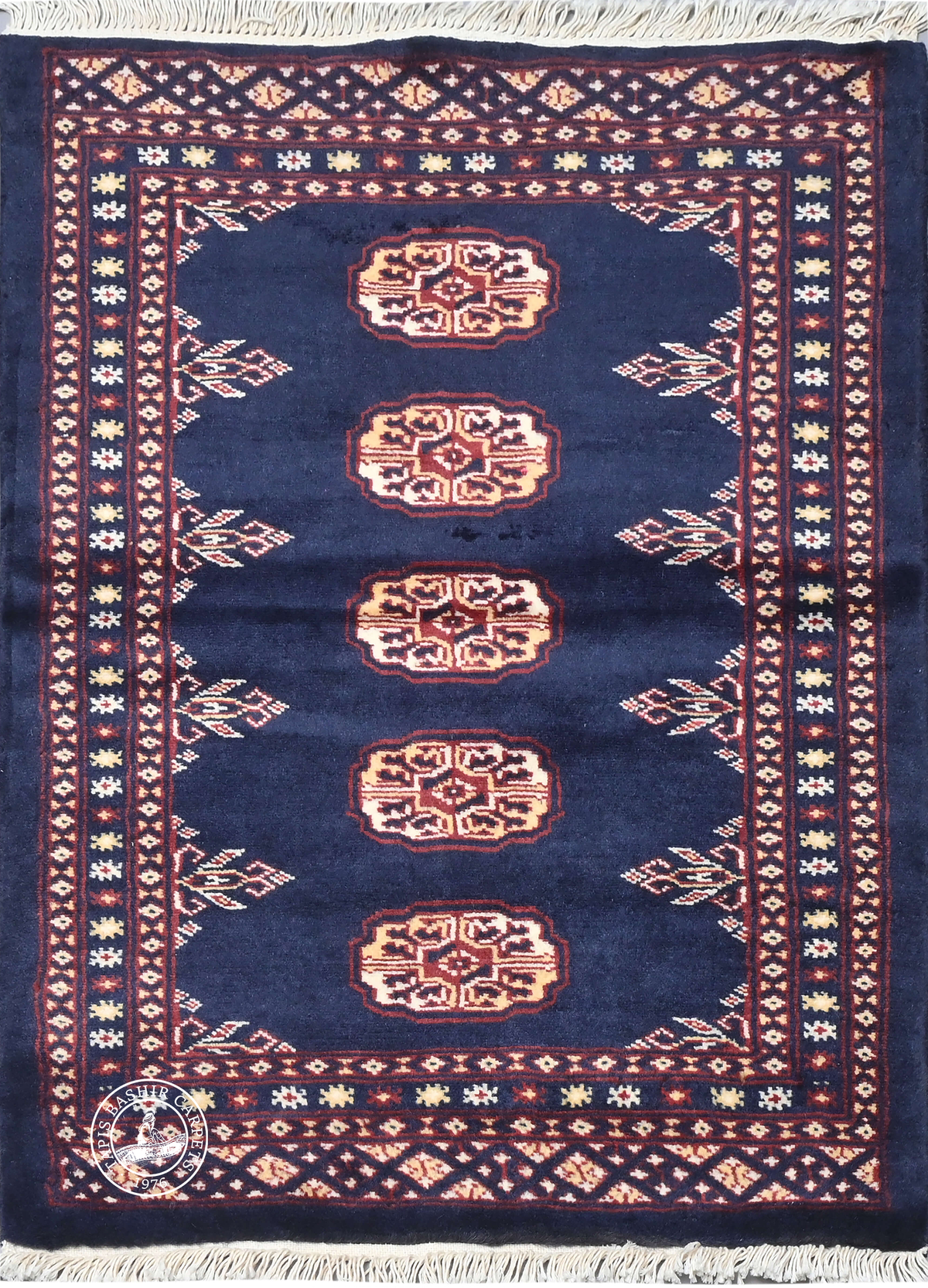 Bokhara Mauri