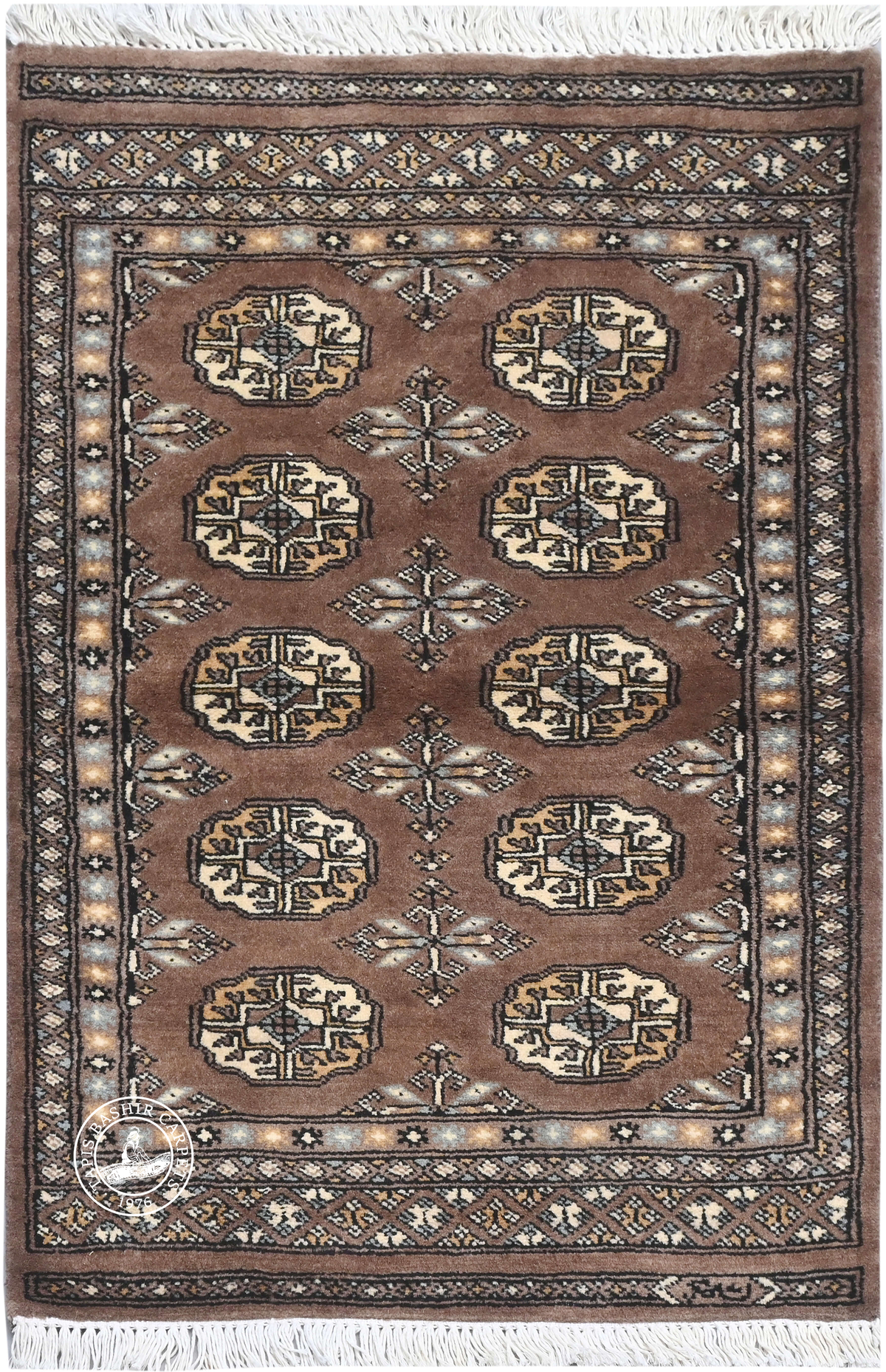 Bokhara Mauri
