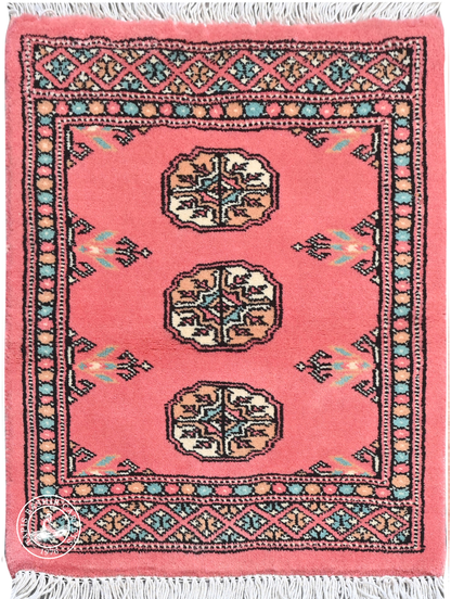 Bokhara Mauri