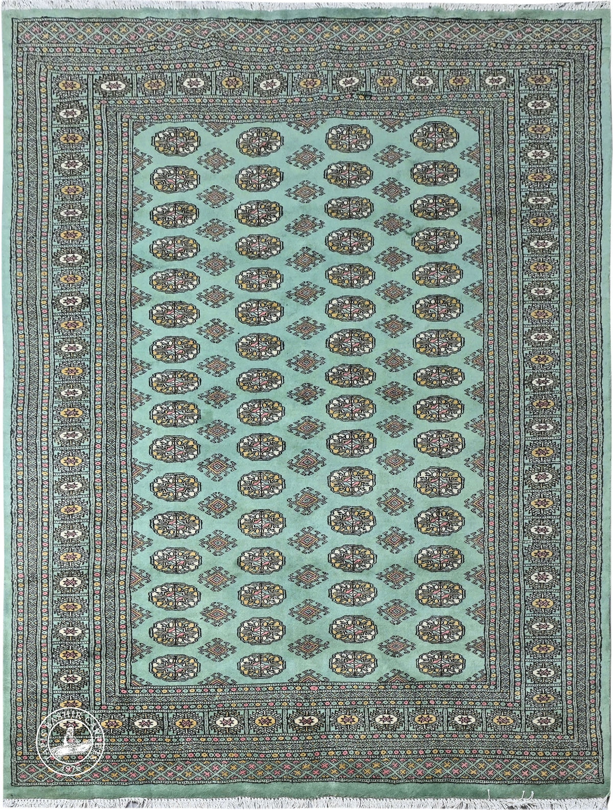 Bokhara Mauri