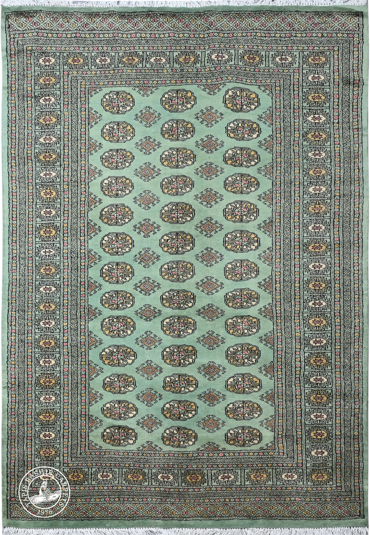 Bokhara Mauri