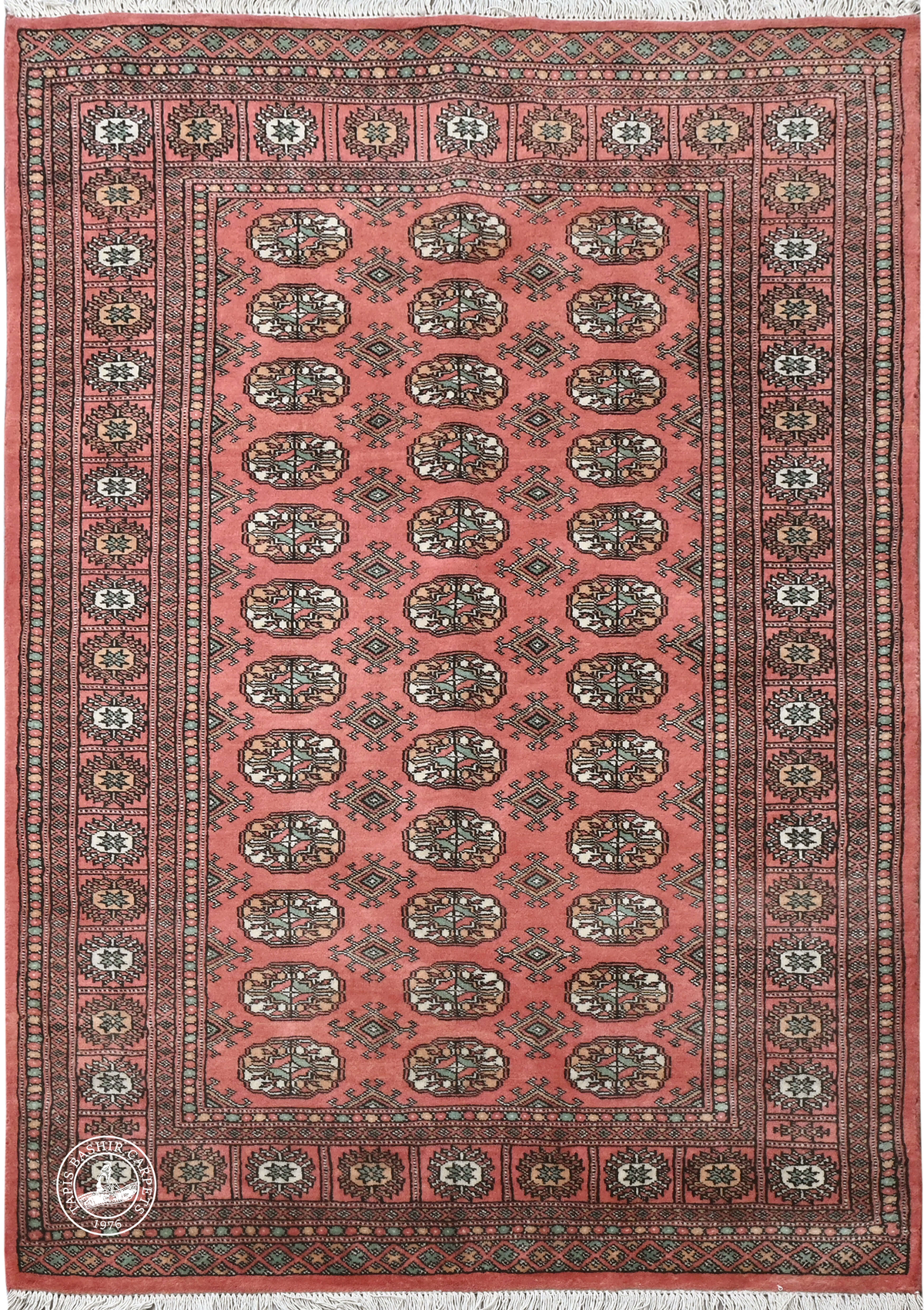 Bokhara Mauri
