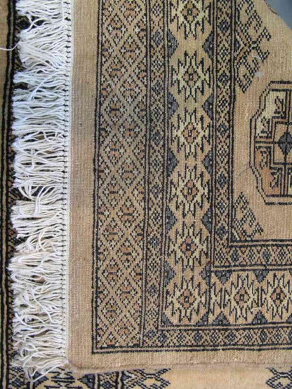 Boukhara Mauri