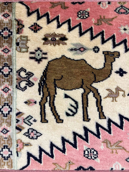Chameaux du Sahara