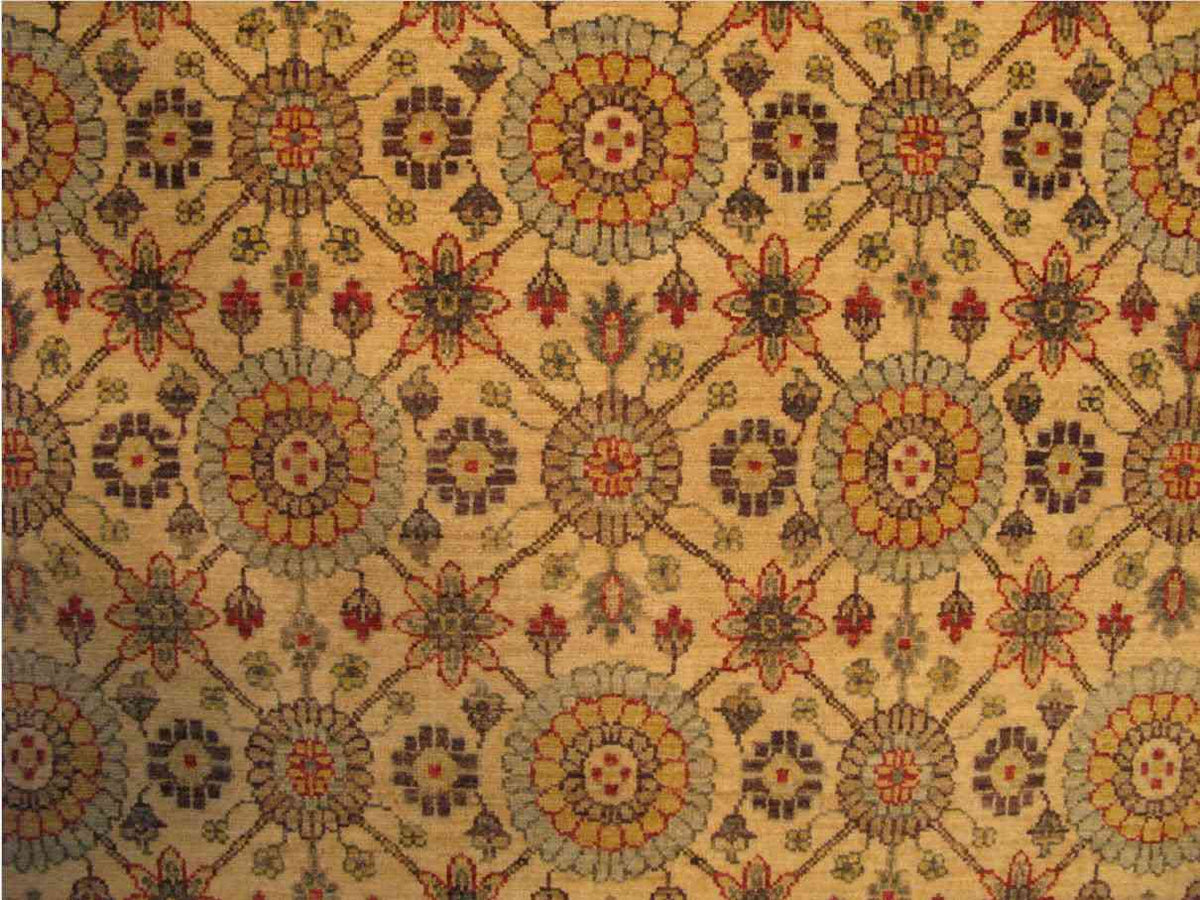 Orozgan