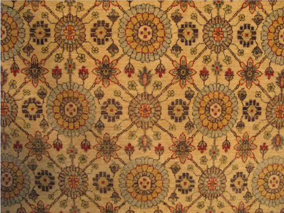 Orozgan