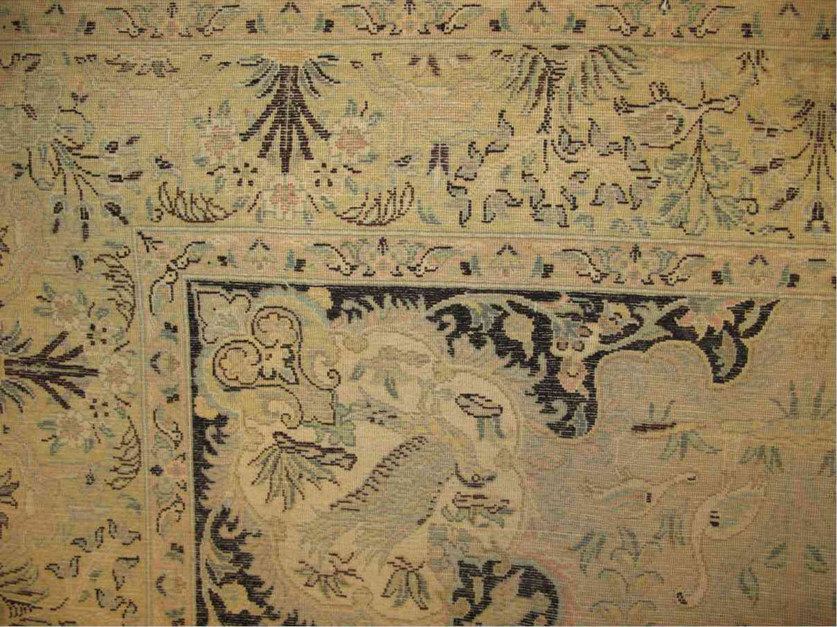 Mina-Khani - Oiseaux du Paradis