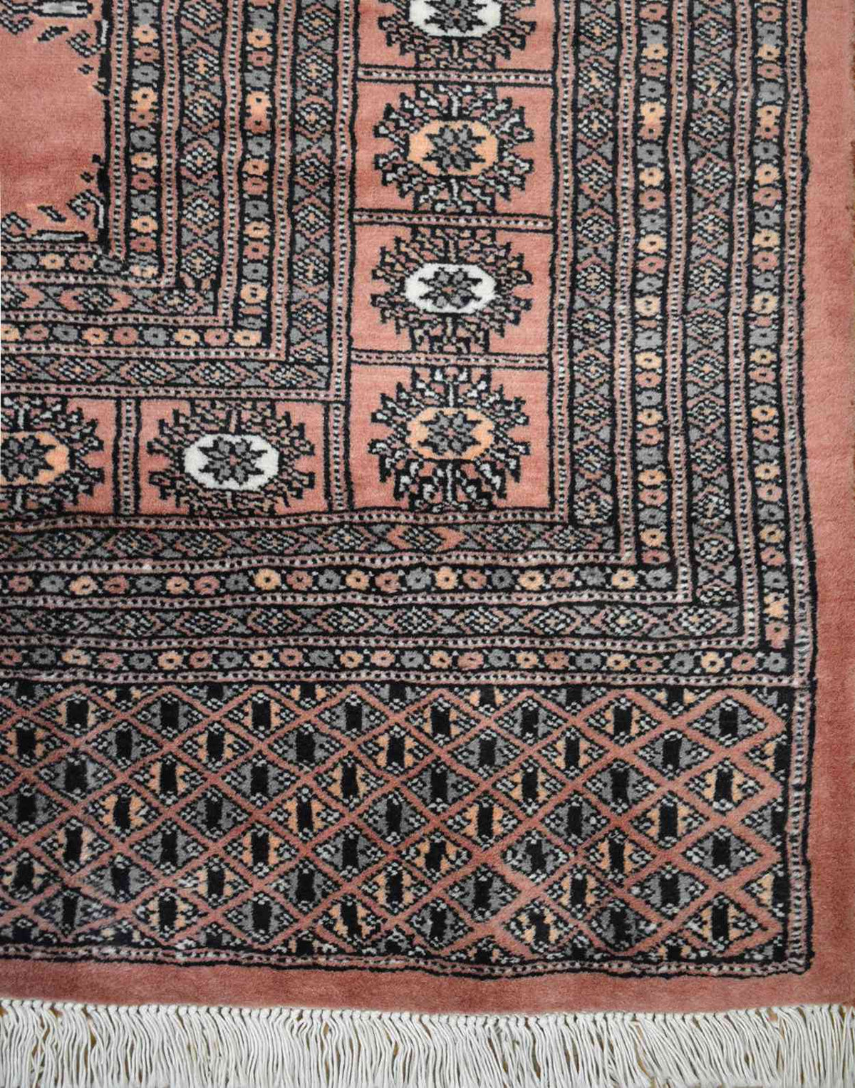 Boukhara Tekke